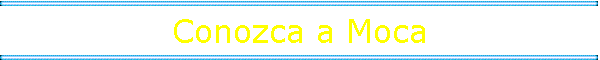 Conozca a Moca