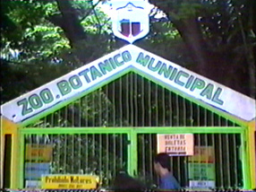 zoo.JPG (45949 bytes)